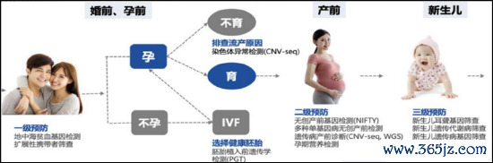 配资第一门户 华大基因:“技术+数据”双轮驱动，锚定C端健康管理新蓝海