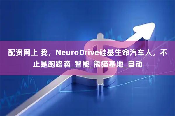 配资网上 我，NeuroDrive硅基生命汽车人，不止是跑路滴_智能_熊猫基地_自动