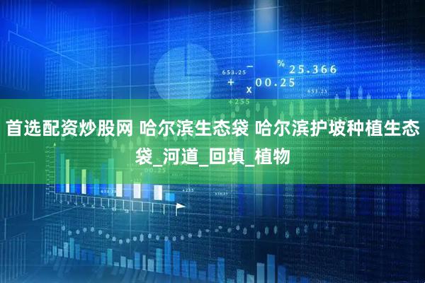首选配资炒股网 哈尔滨生态袋 哈尔滨护坡种植生态袋_河道_回填_植物